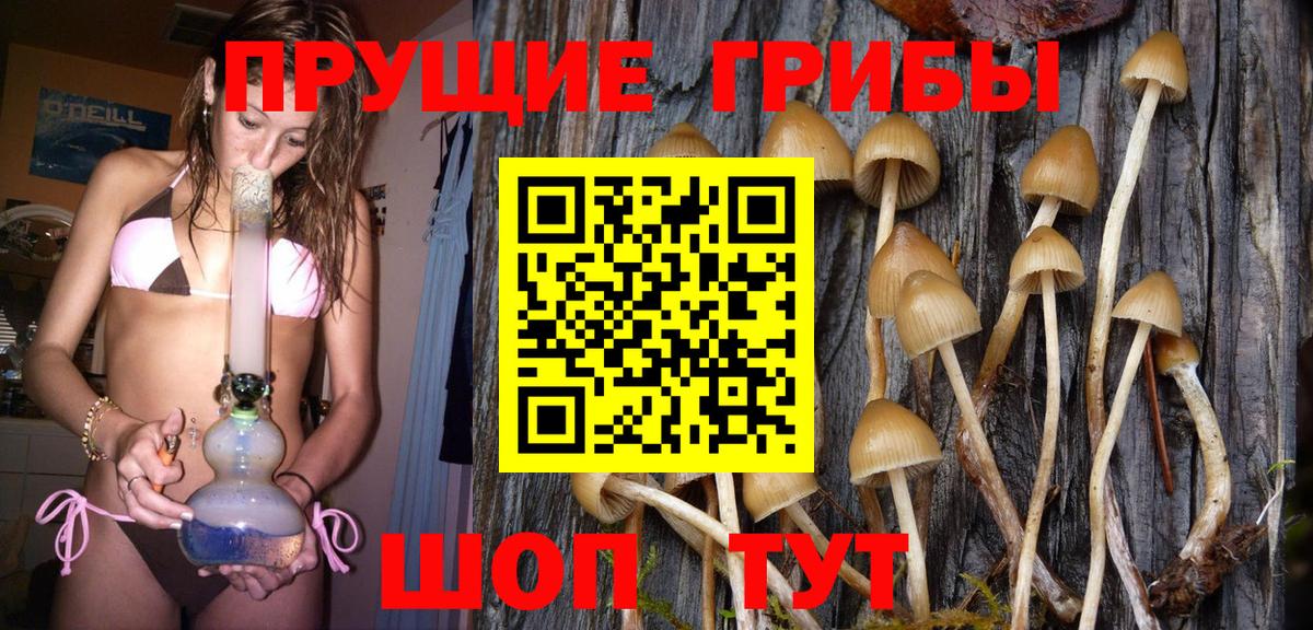 Галлюциногенные грибы Psilocybe  Галлюциногенные грибы GOLDEN TEACHER  Дербент  где продают   Вход с VPN 